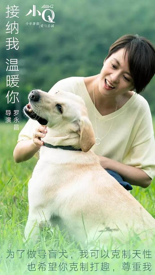 加州驾驶证怎么制作